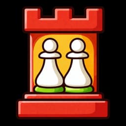 Rook+2
